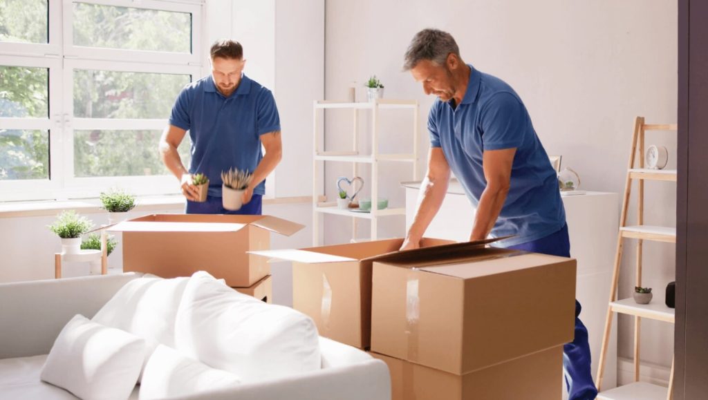 Residential Removals
